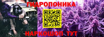 стаф Будённовск