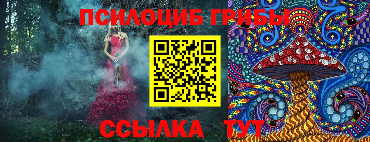 Северобайкальск  Галлюциногенные грибы ЛСД  купить   Вход с VPN 