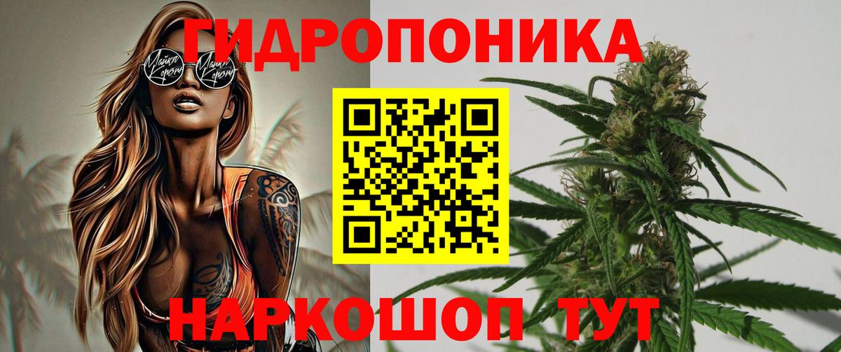 Шишки марихуана AK-47 Северобайкальск